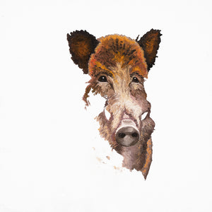 Wildboar